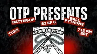 OTP Podcast S3. Ep. 6 . Feat Batter Up Ball Pythons 📱