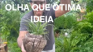 Como fazer uma cestinha com coco velho. 