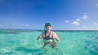 POV Swimming with Massive Stingrays in Antigua