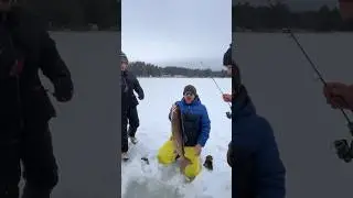 Bachelor Party Lake Trout | Ice Fishing Ontario #shorts