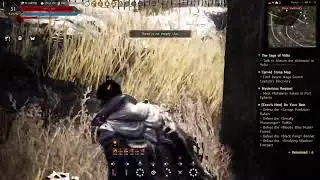 Black Desert online Freeroam