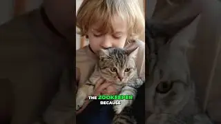The Perfect First Job for Your Toddler