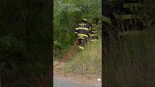 BFD signal 12, 07/07/2024