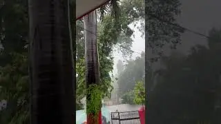 सरकारी आवास पर बारिश का दृश#nature #kids #rain #fallguys #viral #mansoon #trending #ytshorts