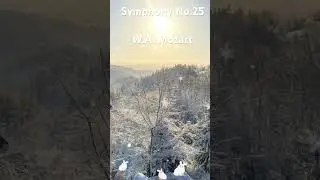MOZART: The Symphony No.25#musicalharmony #classicalmusic #mozart #mozartmusic #mozartsymphony