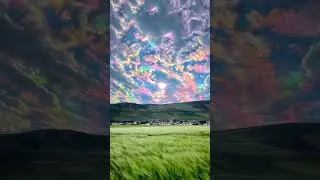 True Colours of nature | splendid #nature #shortvideo #trending #viral #shorts