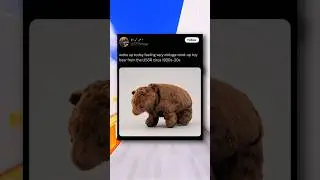 Funny Meme Posts 💀😭