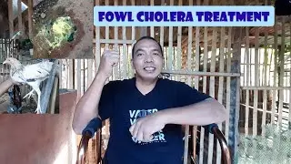 EP16 - Paggamot Sa Fowl Cholera/Laway-laway | Papa On On