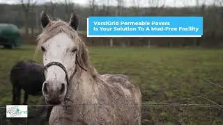 VersiGrid Equine Mud Management
