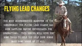 A Few Exercises to Help with Flying Lead Changes Preview