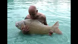 Samui Fishing Park & Resort