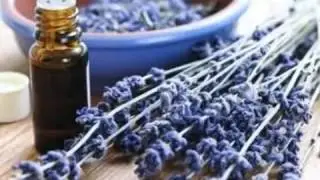 Ameo Essential Oils & Moringa by Dr Bowers