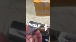 peanut voice recorder