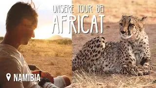 Geparden & Leoparden bei AfriCat Foundation • Namibia • Weltreise Vlog #153
