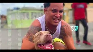El Guardia 45 - Alofoker Baña El Perrito 🧼🐕 Dir.@AmarilloHD1 (Video Oficial)