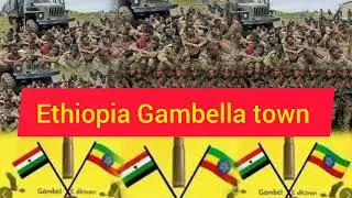 Обновление новостей сегодня в Эфиопии, город Гамбелла, от вице-президента Гатлуака Руона Джала