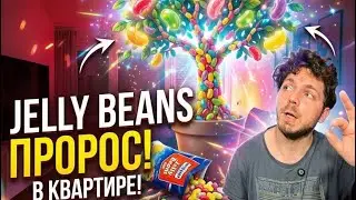 Обзор на Jelly Beans с разными вкусами