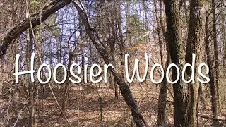 Hoosier Woods (Lyric Video)