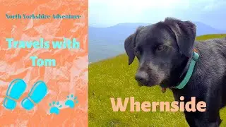 A walk up Whernside - a three peaks walk in the Yorkshire Dakes