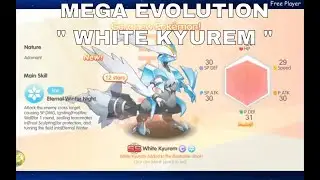 MEGA EVOLUTION 