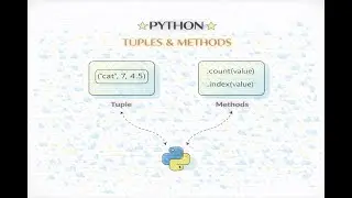 Podcast - Tuple data structure and operations in Python