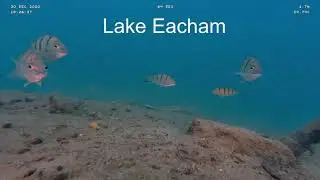 Lake Eacham and Lake Barrine FNQ Australia