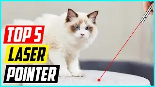 Top 5 Best Laser Pointer for 2025
