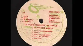 Carlton Livingston - Feel Like Dancing
