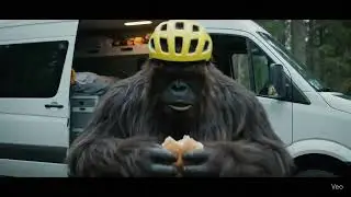 Bigfoot Rides Again!? Wilderness Encounter with the Ultimate Van Bike Rack - thats Bike-Hook