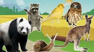 Learning Wild Animals Names and Sounds with Real Animals for kids in English