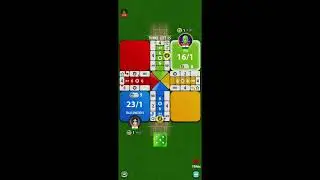 Unbelievable Ludo Cricket Clash