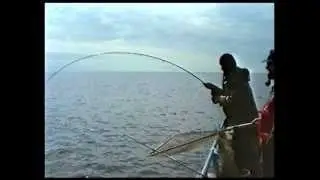 Fly fishing for Pollack and Mackerel, Donegal Bay, Ireland