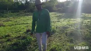 Prantando o arroz 🌾 na minha roça confira aqui 