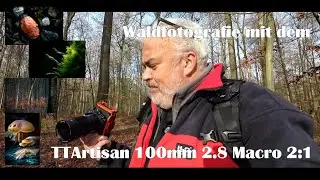 Landschaftsfotografie | MAKRO mit dem TTArtisan 100mm 2.8 Macro 2:1 im Wald