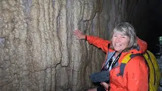 Limestone Creek Glow Worm Caves, Manawatu, New Zealand