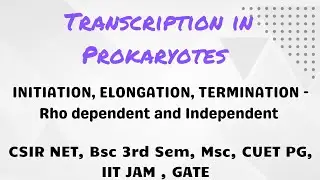 Transcription in Prokaryotes Steps, Mechanism #CSIR NET #GATE #Bsc #Msc #handwritten notes