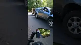 Horse Blocks the Car for some food