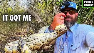 This Python Catch Got Out Of Hand