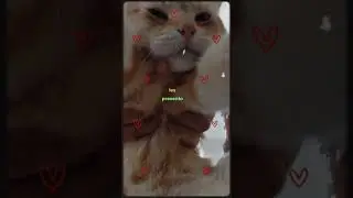Представляю вашему вниманию Гарфилда, это не мой рисунок. #garfield