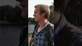 Why do alligators go to swimming pools?! (ft @WILDFL )