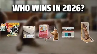 The Top 5 Best Cat Scratcher in 2026 - Must Watch Before Buying!