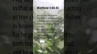 Matthew 5:44-45 - Inspiring Bible Readings