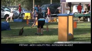 PÍŠŤANY: MČR v agility psů - kategorie mládež (TV Litoměřicka)