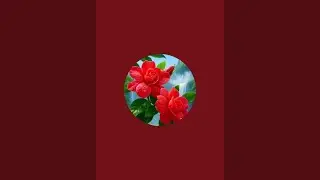 മയിൽപീലി is live