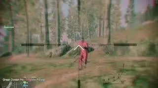 CMG Montage