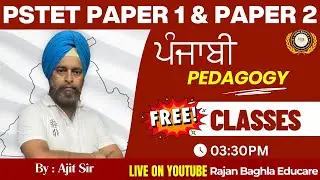 DAY-13 | FREE PUNJABI PEDAGOGY CLASSES  DAILY 3:30PM I FOR ALL PSTET PAPER 1 & 2 | BY AJEET SIR