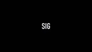 SIG 11 11 18