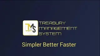 Treasury Management System (TMS)