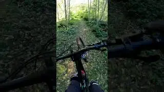 PNW MTB FALL RIDING