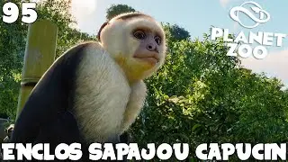 Enclos SAPAJOU CAPUCIN 1/2 - PLANET ZOO #95 - royleviking [FR HD PC]